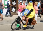 Solex