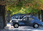 Peugeot 203, bouchon de Joigny, 4 septembre 2022