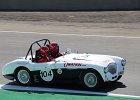 Austin-Healey BN2 100M (1956)