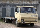 Berliet  Berliet, 19e bourse-exposition de Courtenay (45)