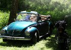 VW Coccinelle
