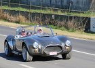 Cobra réplique