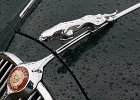 Jaguar  Jaguar, Les grandes heures automobiles, Montlhéry, 25 septembre 2016