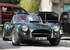 Cobra Martin 1994  Cobra Martin 1994, bouchon de Nemours, 5 octobre 2025
